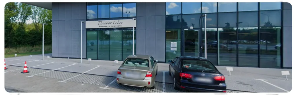 theodorleber company